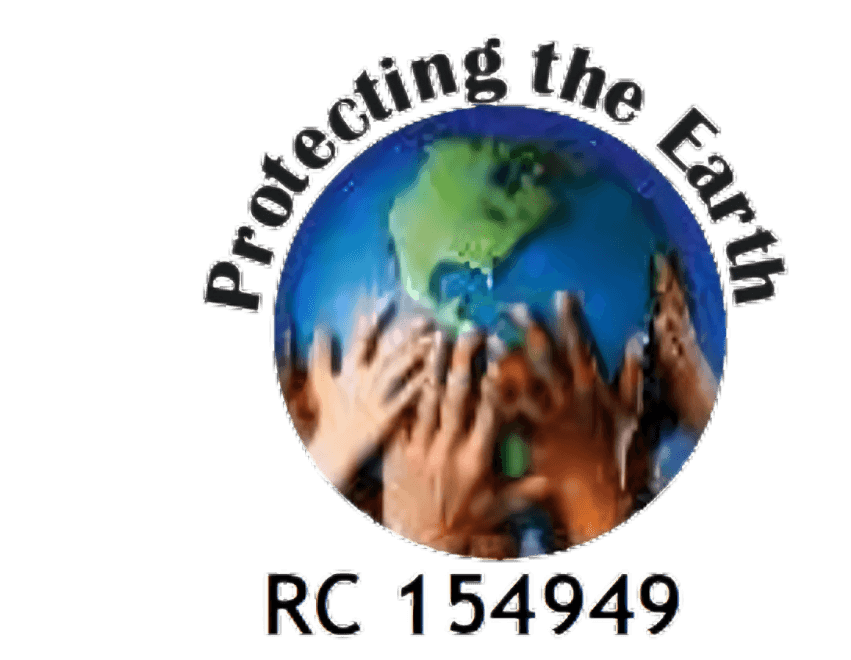 Earth and Sustainability Initiative Logo